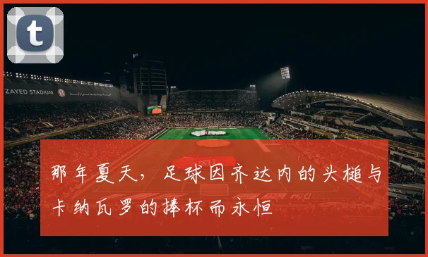 那年夏天，足球因齐达内的头槌与卡纳瓦罗的捧杯而永恒