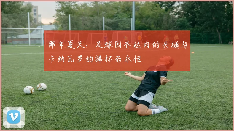 那年夏天，足球因齐达内的头槌与卡纳瓦罗的捧杯而永恒