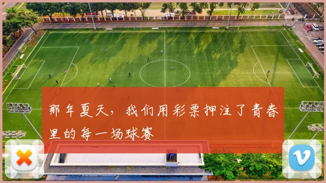 那年夏天，我们用彩票押注了青春里的每一场球赛