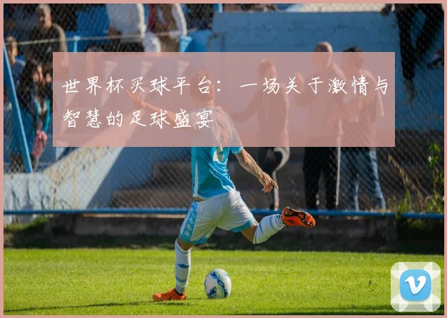 世界杯买球平台:一场关于激情与智慧的足球盛宴