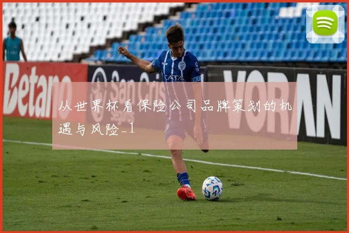 从世界杯看保险公司品牌策划的机遇与风险_1