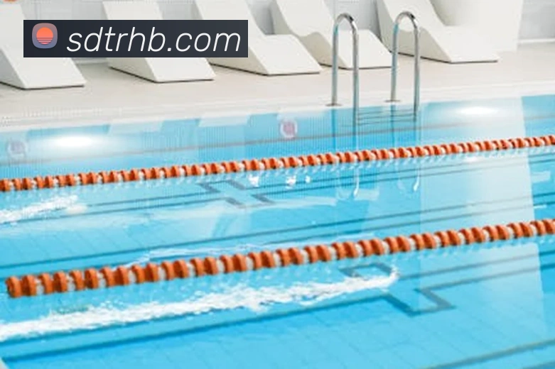 2013澳网决赛技术统计：德约科维奇vs穆雷关键数据分析